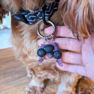 May include: A dog wearing a black and white patterned collar with a silver charm attached. The charm has three black lava rock beads and purple amethyst crystals.