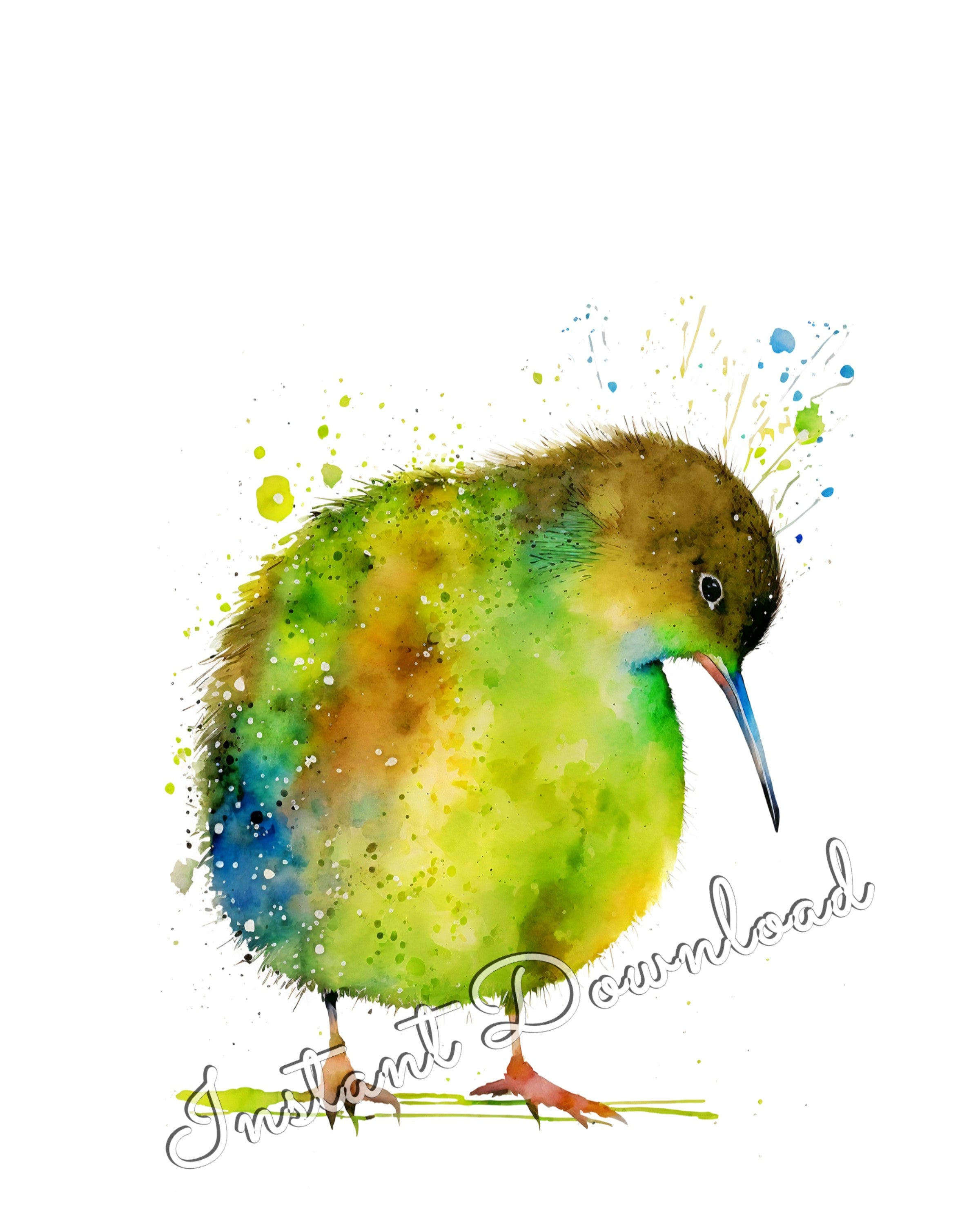 絵になる〜アスレチックஐキウイの蔓♪ キウイ鳥水彩画印刷可能なアートキウイプリントダウンロードキウイ