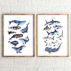 Set of 2 DIGITAL PRINTS- Watercolor Whales Print + Sharks Print Whale Poster Nursery Whale Print Whale Art Shark Print Nautical Decor Shark