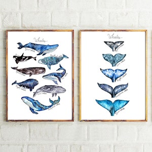 Set of 2 prints - INSTANT DOWNLOAD Watercolor Whales Print + Whale Tails Print, Nautical Decor Whale Poster Nursery Whale Art Blue Whale