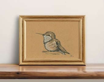 Original, NOT A PRINT - Hummingbird drawing, Colibri charcoal sketch minimalist art, pencil artwork Colibri vintage style- Unframed art 5x7"