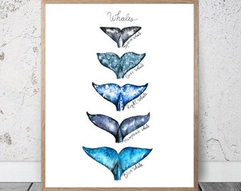 Aquarel Whale Tails - Whale Tails Wall Decor Nautische Oceaan Print Bultrug Walvis Poster Whale Art Kids Boy Room Whale Tail Painting