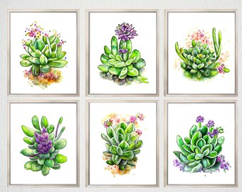 絵画 873/抽象画風/多肉植物/S4号 水彩多肉植物6枚セット 印刷可能なアート 多肉植物プリント 多肉植物