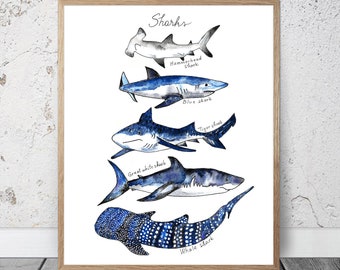 Watercolor Sharks Print, Shark Poster Nautical Decor Ocean Print Shark, Sharks Poster Shark Wall Decor Shark Beach Decor Nursery Great White