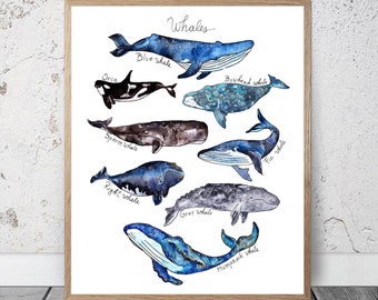 Stampa di balene ad acquerello / balena, poster di balena Balena Wall Decor Orca Whale Art Beach Asilo nido nautico Ragazzi Camera per bambini Ocean Print Whale Decor