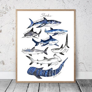 Watercolor Sharks PRINTABLE ART Nautical Decor Sharks Print Ocean Shark Poster Shark Wall Decor Shark Beach Decor Nursery Boys Painting #2