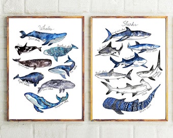 Set van 2 prints - aquarel walvissen print + haaien print, walvis decor haai decor walvis poster walvis kunst kwekerij jongens kinderkamer