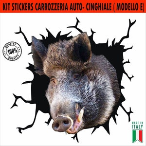 Adesivo per Auto Cinghiale PVC Autoadesivo Vinile Adesivo Adesivi per Auto Moto Finestra Scegli Modello E cod.2111E