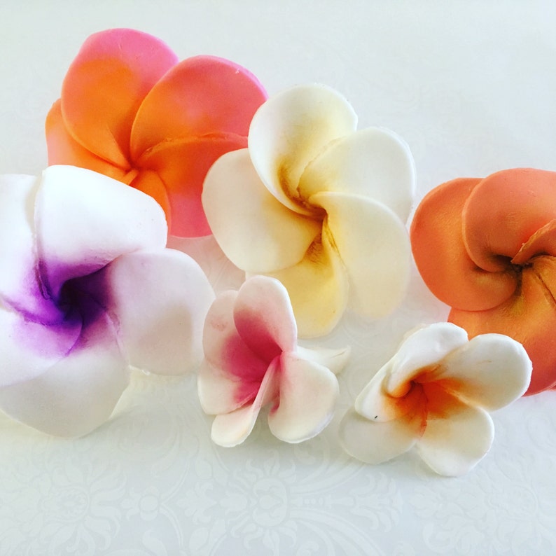 6 Large Fondant Flower Hawaiian Plumeria Fondant Plumeria Etsy