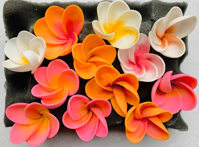 12 Fondant Flower Hawaiian Plumeria Fondant Plumeria Gumpaste Etsy