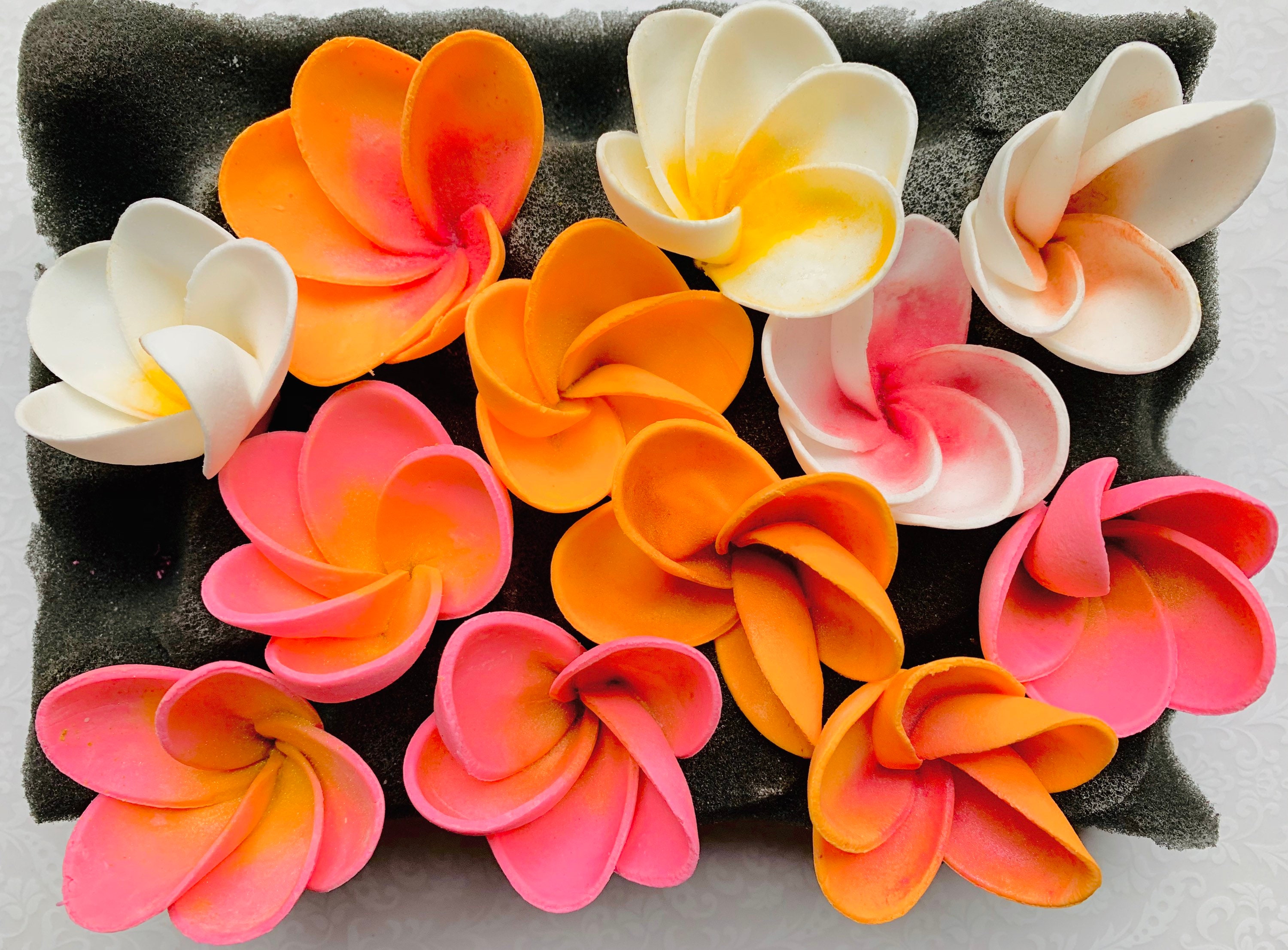 12 Fondant Flower Hawaiian Plumeria Fondant Plumeria Gumpaste Etsy