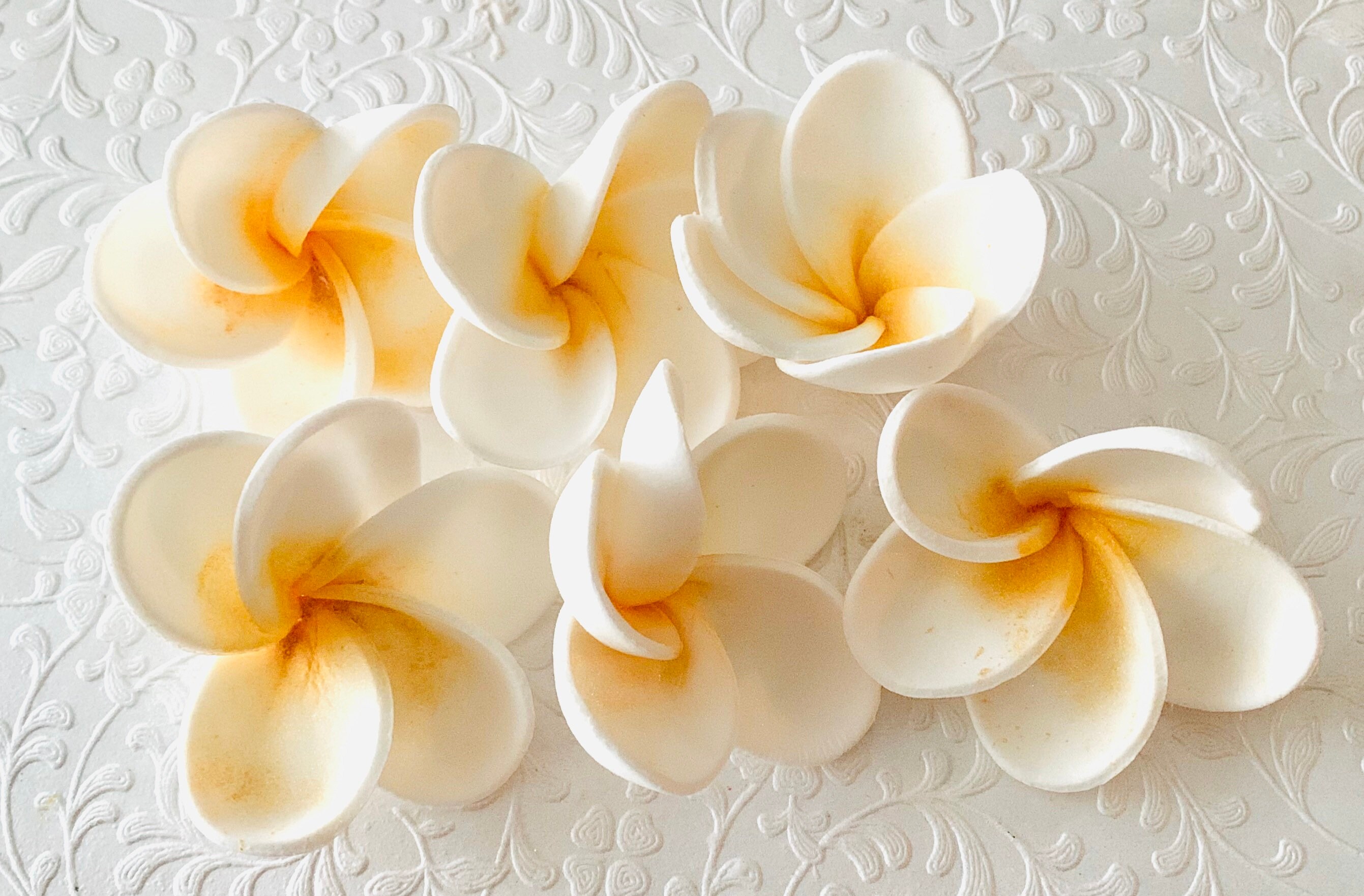 6 Large Fondant Flower Hawaiian Plumeria Fondant Plumeria Etsy
