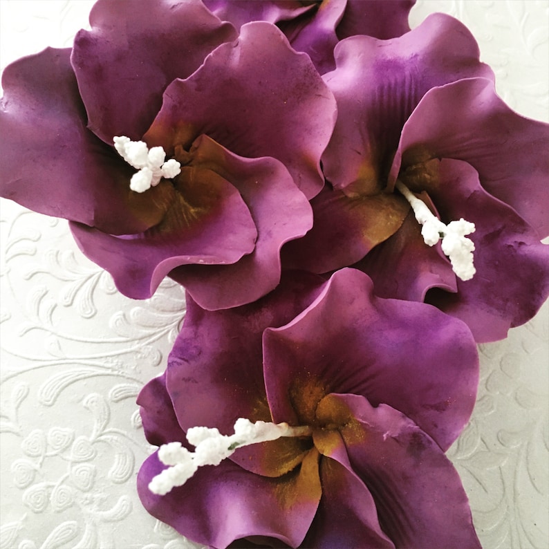 6 Hibiscus Fondant Flowers Fondant Hibiscus Gumpaste Flowers Etsy