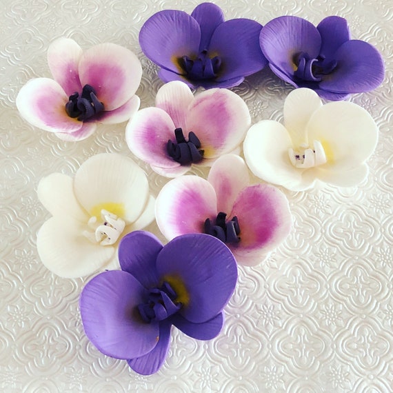 6 Colorful Orchid Fondant Flowers Gumpaste Flowers Gumpaste Etsy