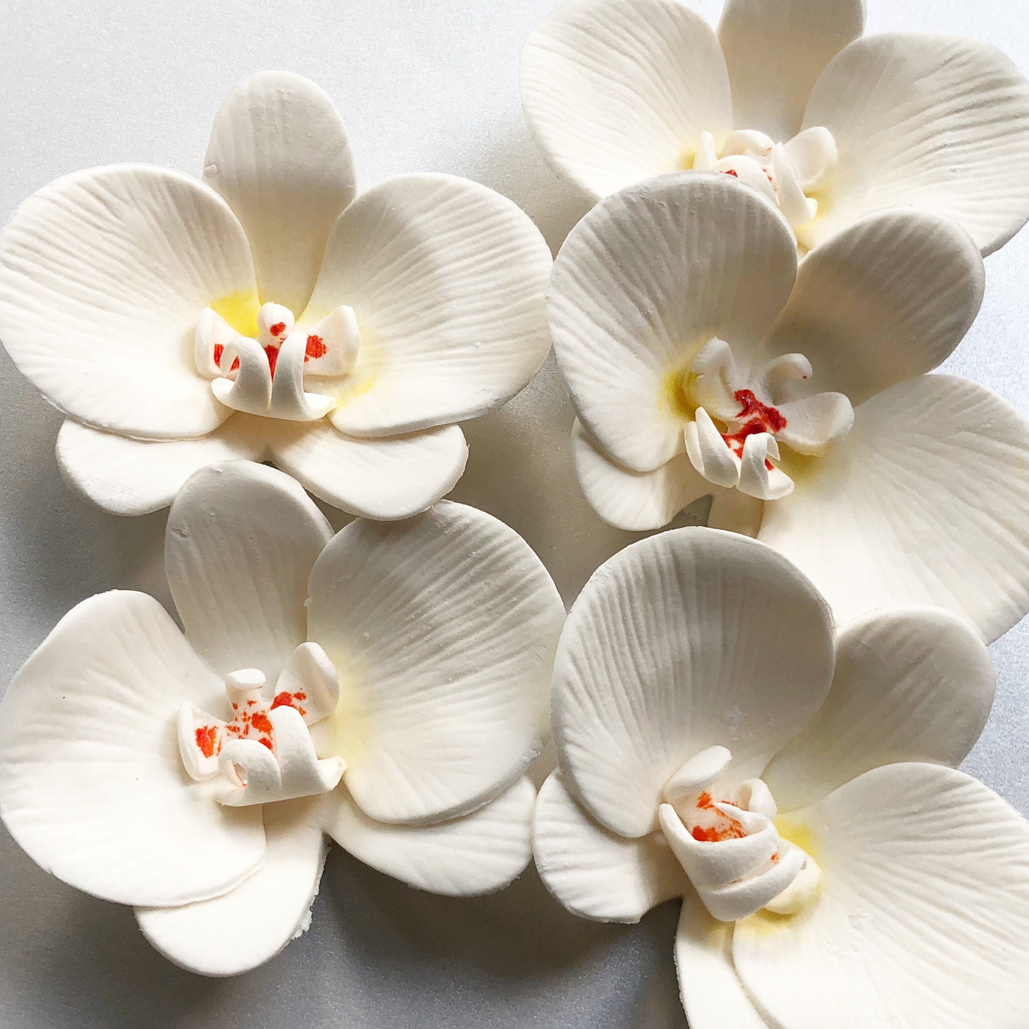 6 Fondant Orchids 6 Gumpaste Orchids Edible Orchid Edible Etsy