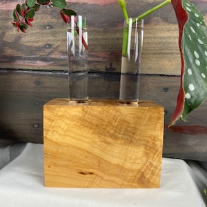 Hardwood Plant Propagation Station