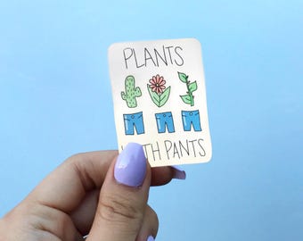 succulent terranium etsy