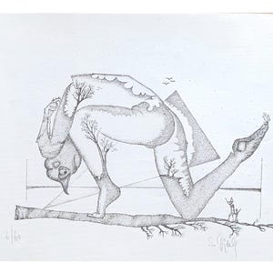 Prova d'artista litografica originale firmata S. Vidale, raffigurante un uomo-uccello