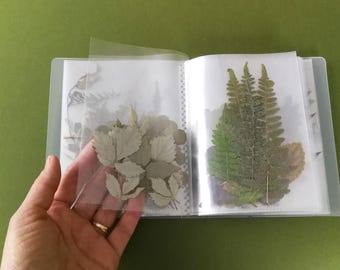 Album z suszonymi liśćmi: 300 szt. suszonych kwiatów, naturalne rośliny do sztuki