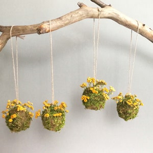 Moss and Tansy Hanging Garden Decor. Natural Real Dried Flower Wall Art Decor. Zero Waste Natural Biodegradable Wedding Decor. Florist Balls
