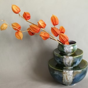 3 Real Dried Lantern Flower Physalis Branches, Orange Halloween Fruit Stems, Natural Autumn Home Decor, Herbs Arrangement, For Vase Filling