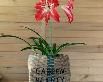 Handmade Burlap Plant Basket: Upcycled Coffee Bag, Rustic Home Decor