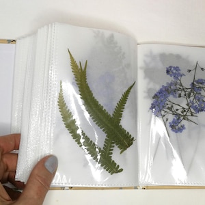 Album with 450 psc Real Dried Pressed Floral Leaves and Blossoms, Rainbow Plants Mix for Art, Natural Flowers Organizer, Botanicals Book