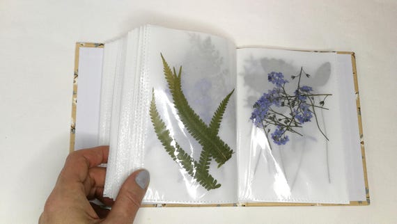 Conjunto De Recortes Hojas Colección Floral Estilo Matisse Arte Botanico Imprimible Poster 35414709