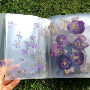 Album met geperste bloemen: 350+ echte gedroogde bloemenbladeren, regenboogplantenmix