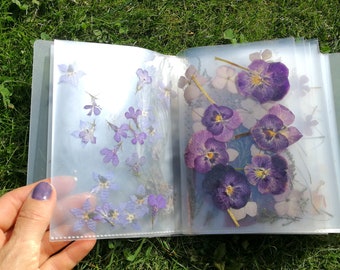 Album met geperste bloemen: 350+ echte gedroogde bloemenbladeren, regenboogplantenmix