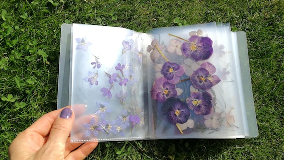 Pressed Flower Album: 350+ Real Dried Floral Leaves, Rainbow Plant Mix
