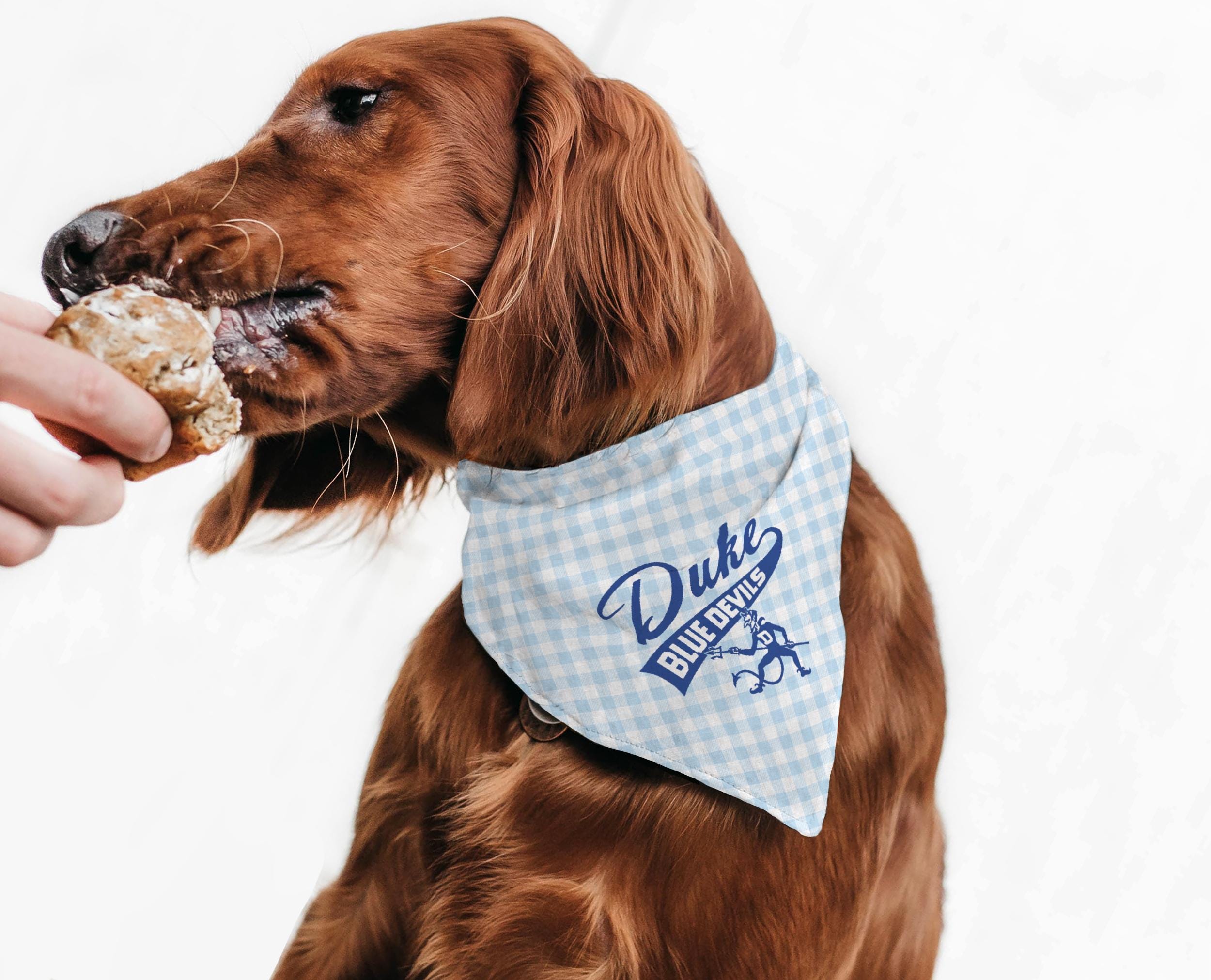Duke Dog Bandana Etsy