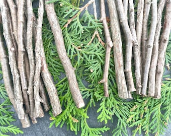 Natural Cedar Sticks. 10 cedar wood branches with bark for rustic home decor, wedding, crafts, terrarium accessories. Choose your size
