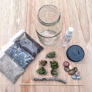 DIY Lichen Terrarium Kit. 11 piece round glass jar terrarium DIY kit with assorted lichen. Everything you need! Plant lover gift idea.