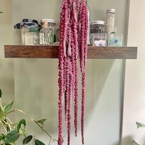 May include: A long, cascading bunch of dried magenta amaranth flowers hanging vertically. The vibrant, textured, bead-like flower stalks drape downward in multiple strands, creating a dense, trailing botanical display with deep pink and purple hues.