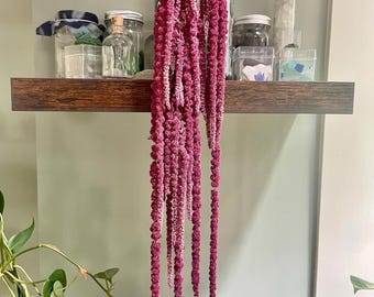 May include: A long, cascading bunch of dried magenta amaranth flowers hanging vertically. The vibrant, textured, bead-like flower stalks drape downward in multiple strands, creating a dense, trailing botanical display with deep pink and purple hues.