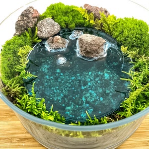 May include: A glass terrarium with a miniature forest scene. Green moss surrounds a small blue resin pond with rocks and a few small plants.