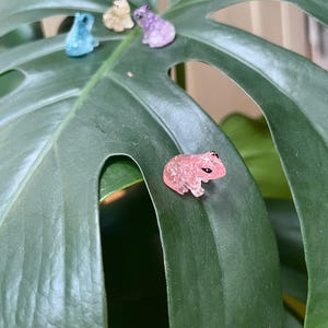 May include: A close-up of a large, green Monstera leaf with several small, colorful frog figurines. The frogs are blue, yellow, purple, and pink, with glitter accents. The leaf has a glossy texture.