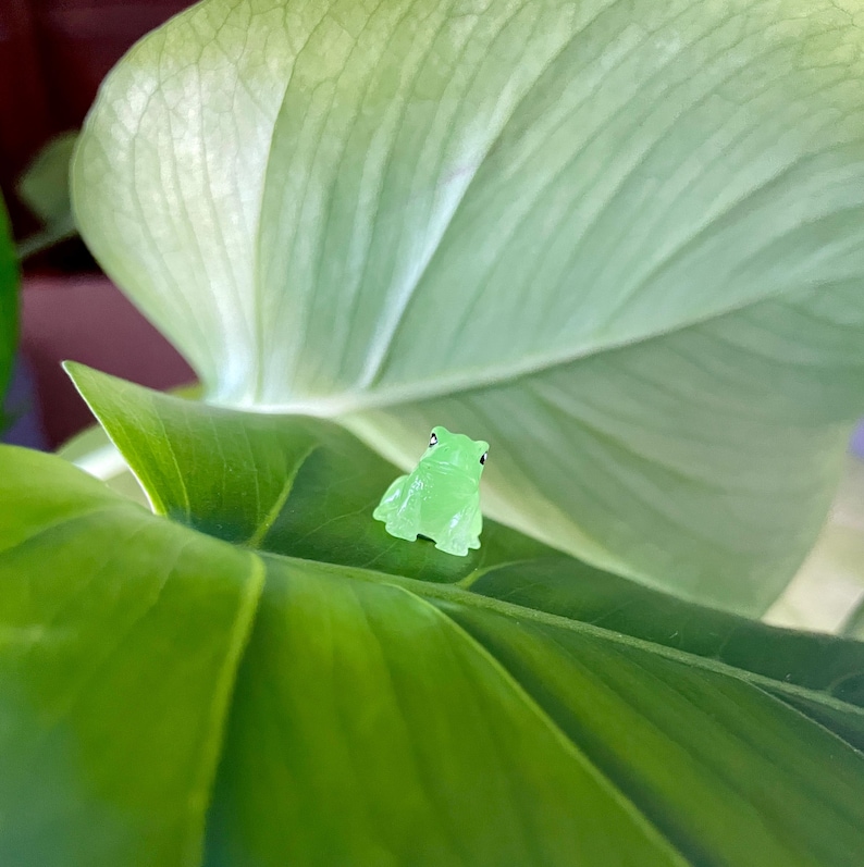 May include: A small, green glass frog figurine sitting on a large green leaf.