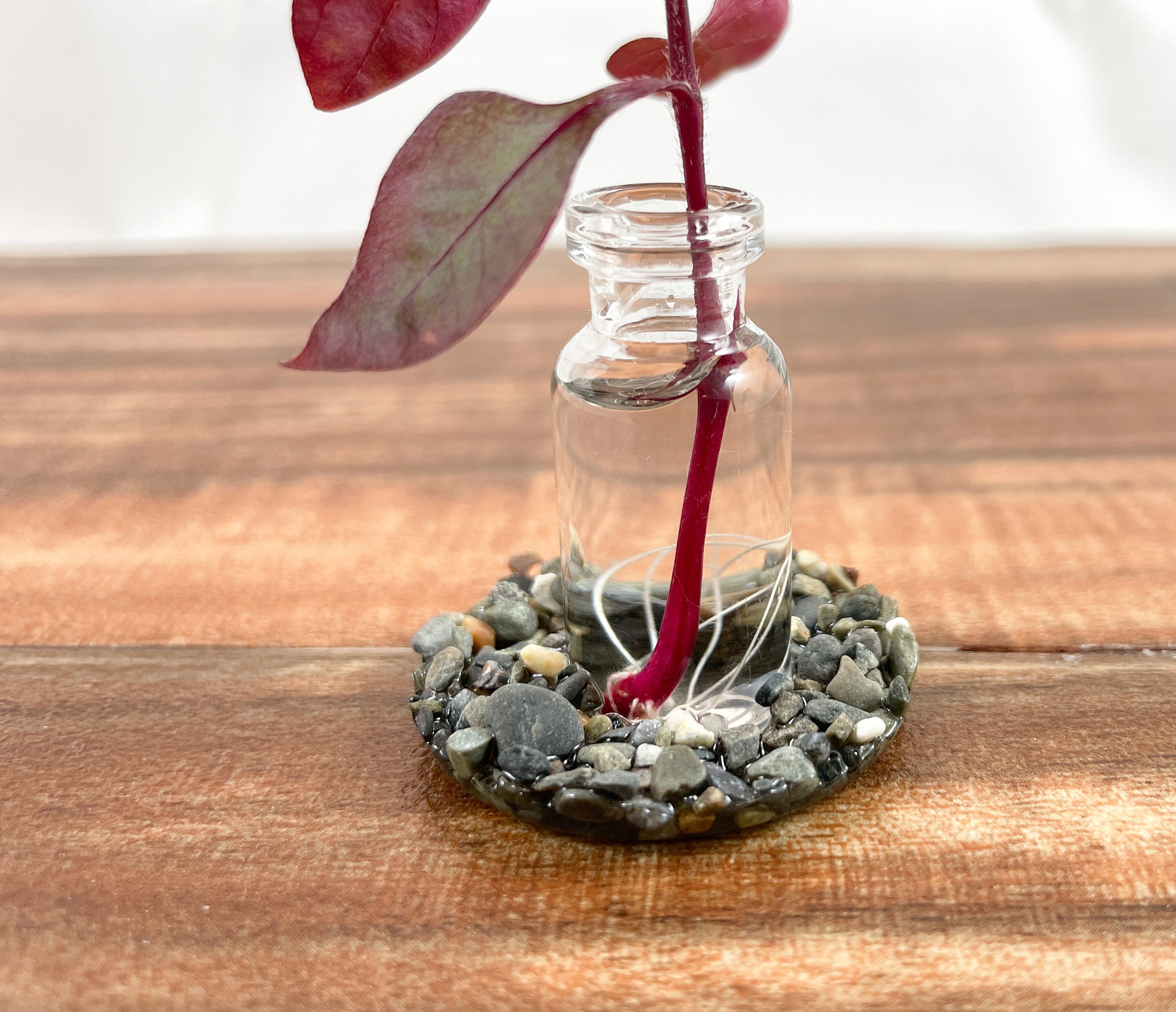 Petit humidificateur de terrarium pour lichens, mousses, plantes. Mini vase  de propagation. Petit vase à bourgeons. De nombreuses utilisations -   France
