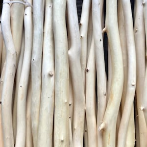 White Cedar Sticks - 10 white cedar wood  branches without bark for rustic home decor, wedding centerpiece, crafts, terrarium accessories.
