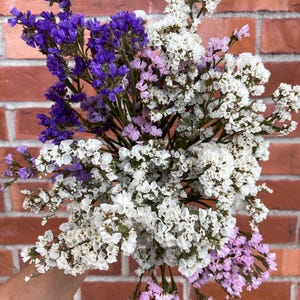 Dried Statice. Dry Statice (limonium) flowers for fall decor, arrangements, centerpieces, wreaths, etc. 5 stems per bunch, 15-17" tall