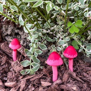 Miniature Mushrooms Plant Accessory. Decorative mushroom plant spike for terrarium, fairy garden, or planter. (Red, Set of 3).