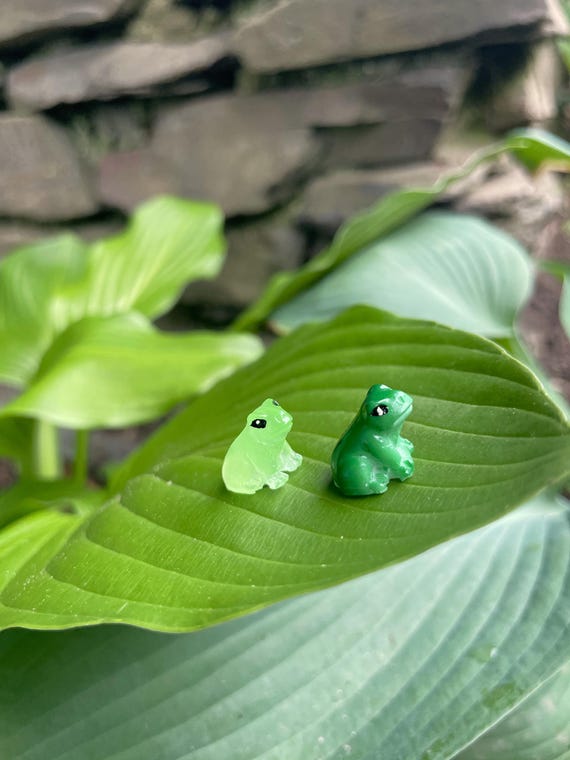 Mini Frog Plant Friends, light and dark green. Plant Pal leaf Accessory. Glow In The Dark Magnetic Frog houseplant buddies. Plant leaf decor