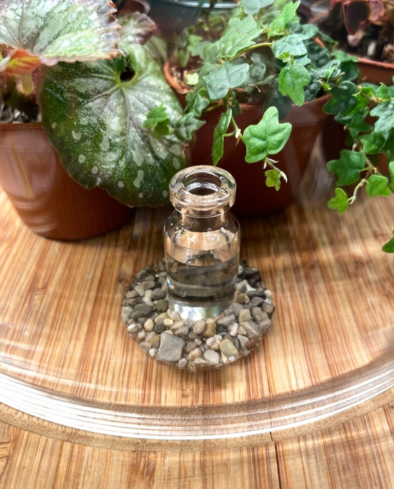 Petit humidificateur de terrarium pour lichens, mousses, plantes. Mini vase  de propagation. Petit vase à bourgeons. De nombreuses utilisations -   France