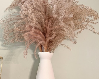 Dried Grass Stems. Dried decorative ornamental silvergrass. Preserved for decor, dried flower arrangements, wedding centerpieces, etc.