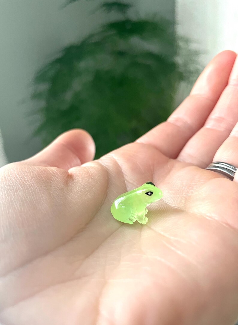 Tiny resin frogs with plant safe magnet. Glow in the dark plant accessory/decoration