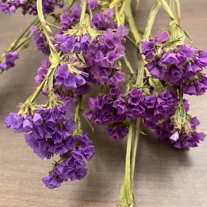 Statice seco. Flores de statice (limonium) secas para decoración otoñal, arreglos florales, centros de mesa, coronas, etc. 5 tallos por ramo, de 38 a 43 cm de altura. Dark Purple