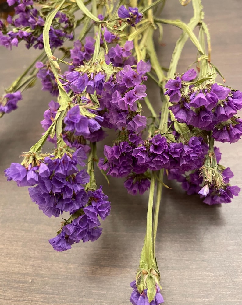 Statice seco. Flores de statice (limonium) secas para decoración otoñal, arreglos florales, centros de mesa, coronas, etc. 5 tallos por ramo, de 38 a 43 cm de altura. Dark Purple