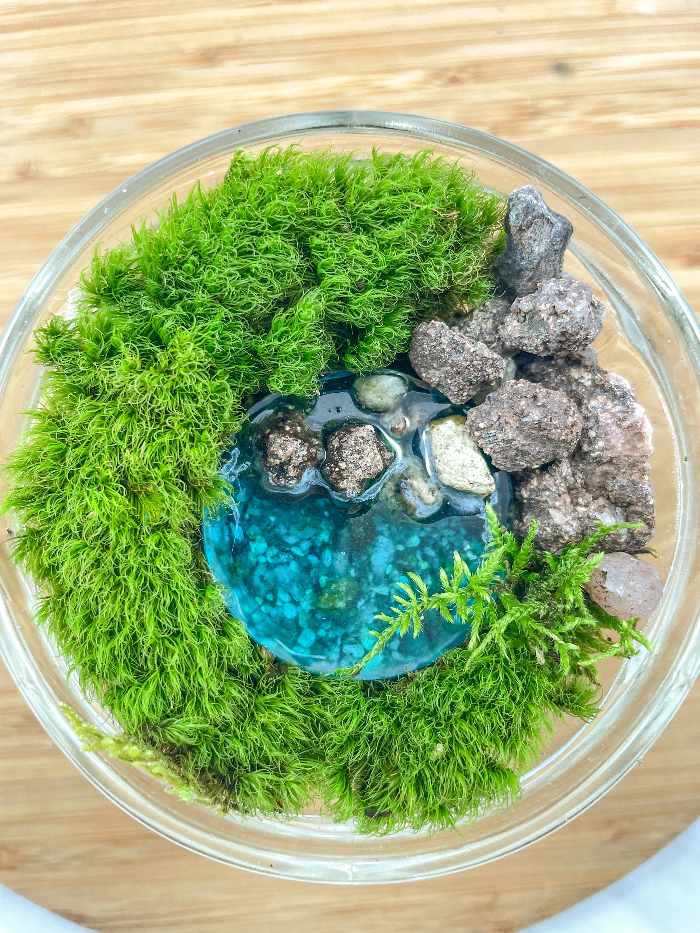 6 Pieces Artificial Moss Rocks for Fairy Gardens Floral Arrangements Craft  Moss Balls for Fish Tank Live 3 Size Decorative Faux Green Moss Covered